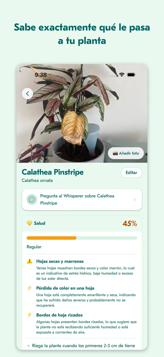 Pantalla de evaluación de salud mostrando un diagnóstico y pasos de tratamiento