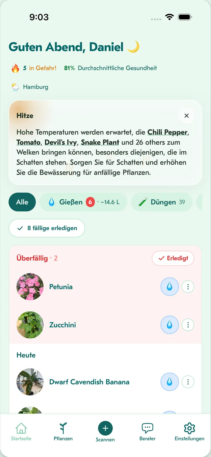 Flora-Startbildschirm: heute fällige Pflegeaufgaben mit wetterintelligenten Gießhinweisen