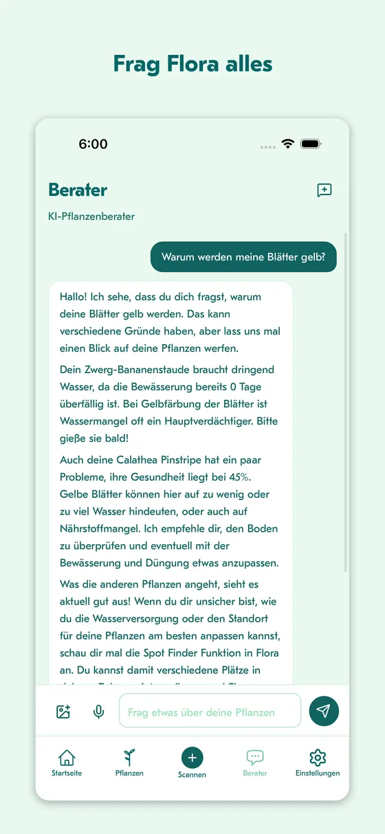 Plant-Whisperer-Chat beantwortet, warum Blätter gelb werden
