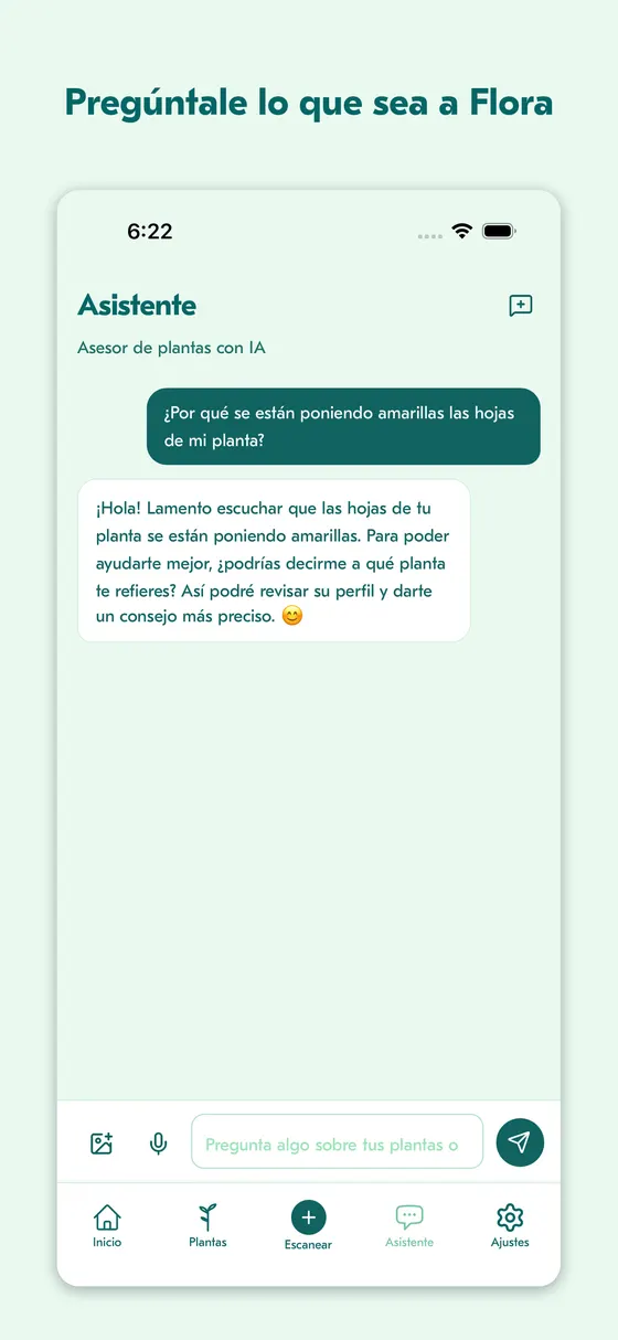 Chat de Plant Whisperer respondiendo por qué las hojas se ponen amarillas