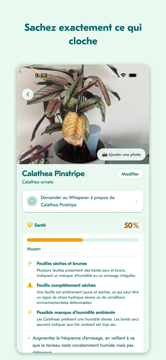 Écran de bilan de santé montrant un diagnostic et des étapes de traitement