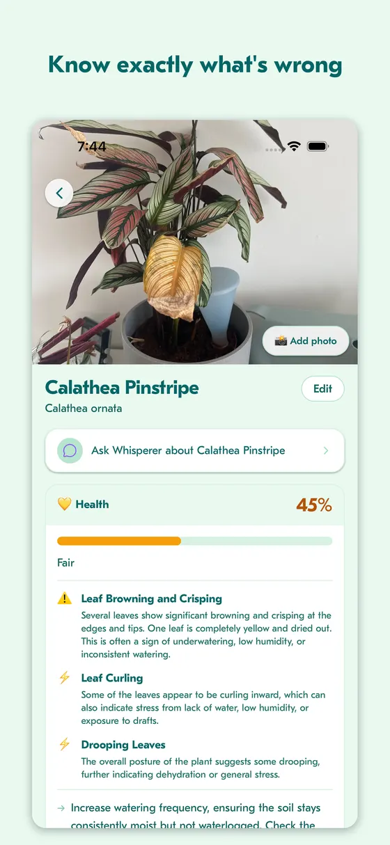 Health check screen showing a diagnosis and treatment steps