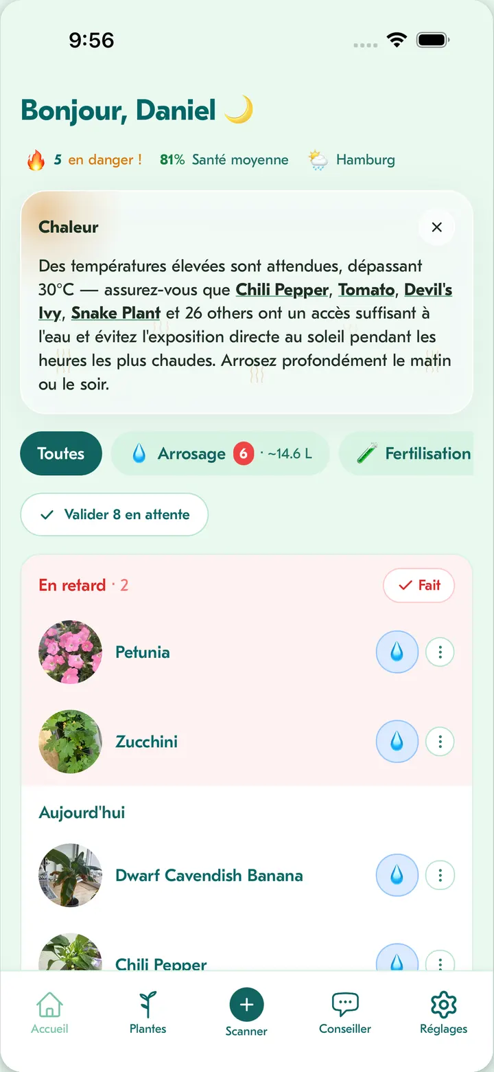 Écran d'accueil de Flora : tâches d'entretien du jour avec des conseils d'arrosage intelligents selon la météo