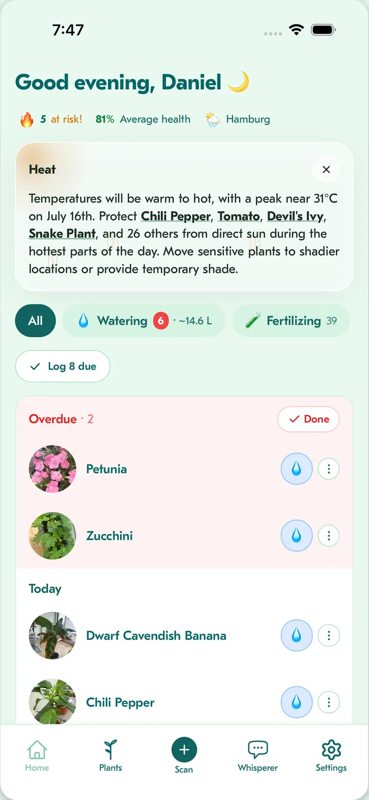 Flora home screen: care tasks due today with weather-smart watering advice