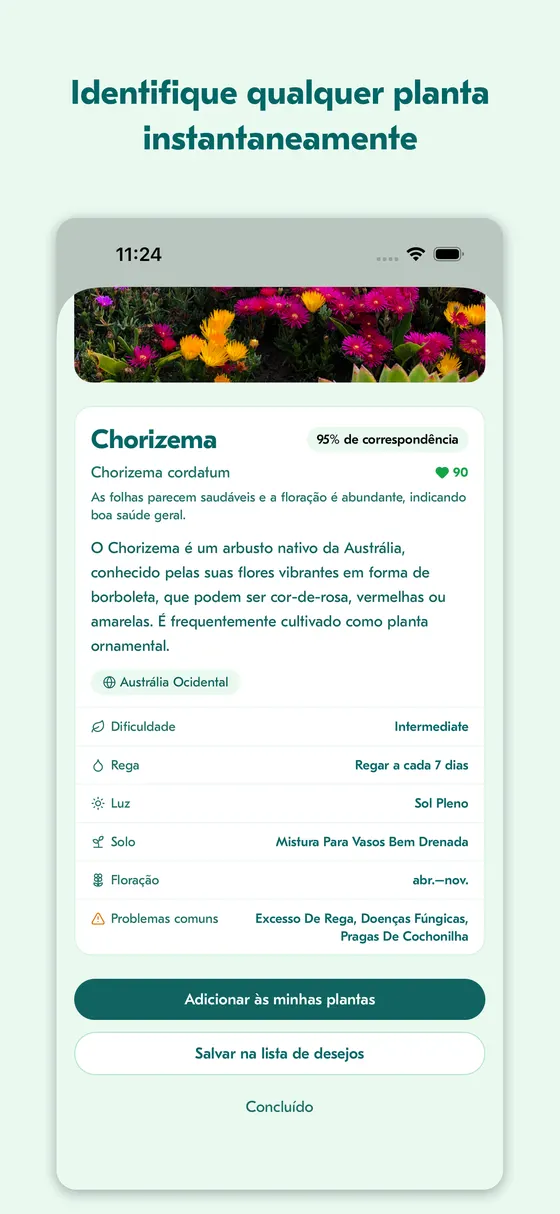 Ecrã de resultado de identificação de planta para uma planta-de-gelo