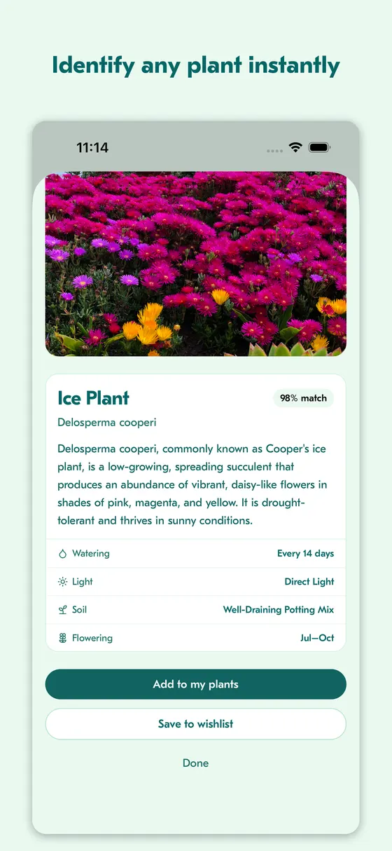 Plant identification result screen for an ice plant