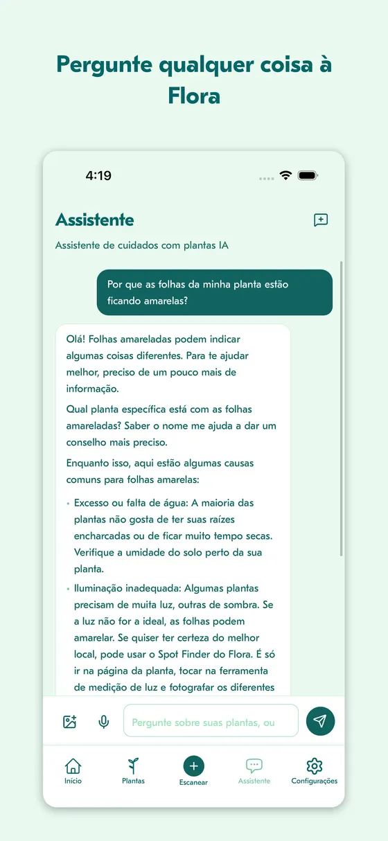 Chat Plant Whisperer a responder porque as folhas estão a ficar amarelas