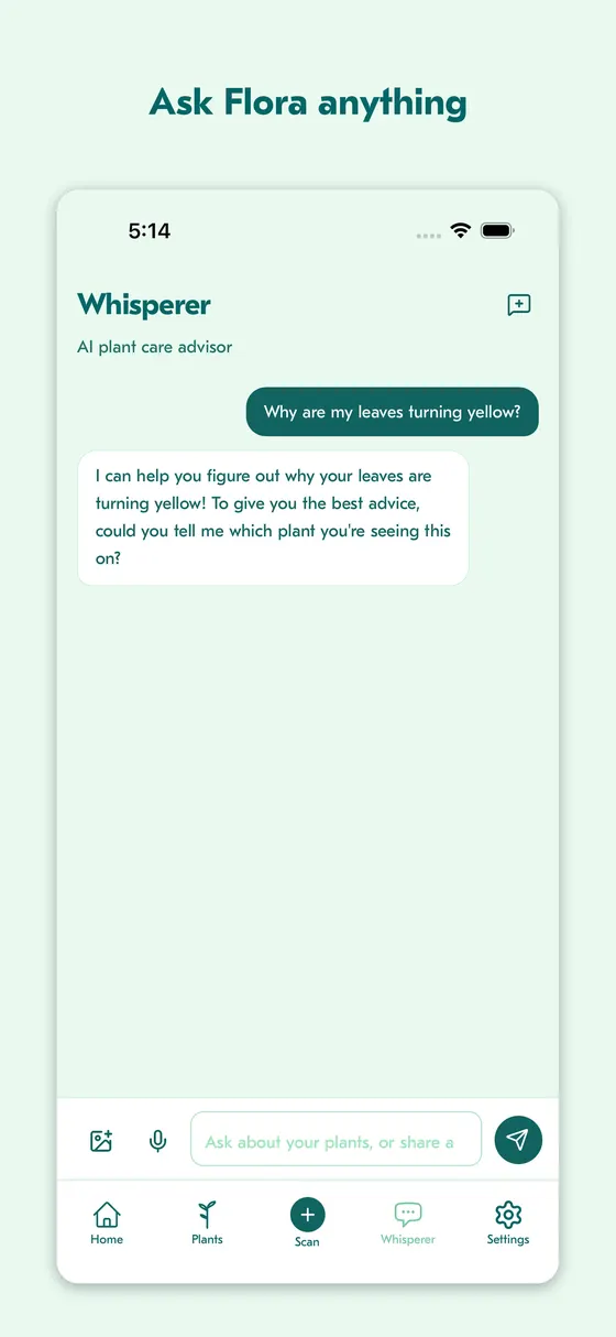 Plant Whisperer chat answering why leaves are turning yellow